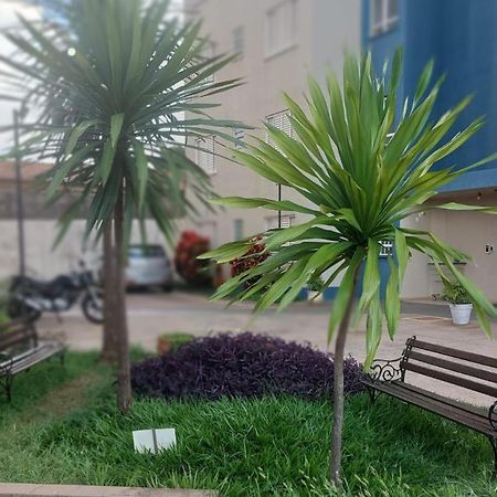 Apartamento Mari 7 São Carlos Eksteriør billede