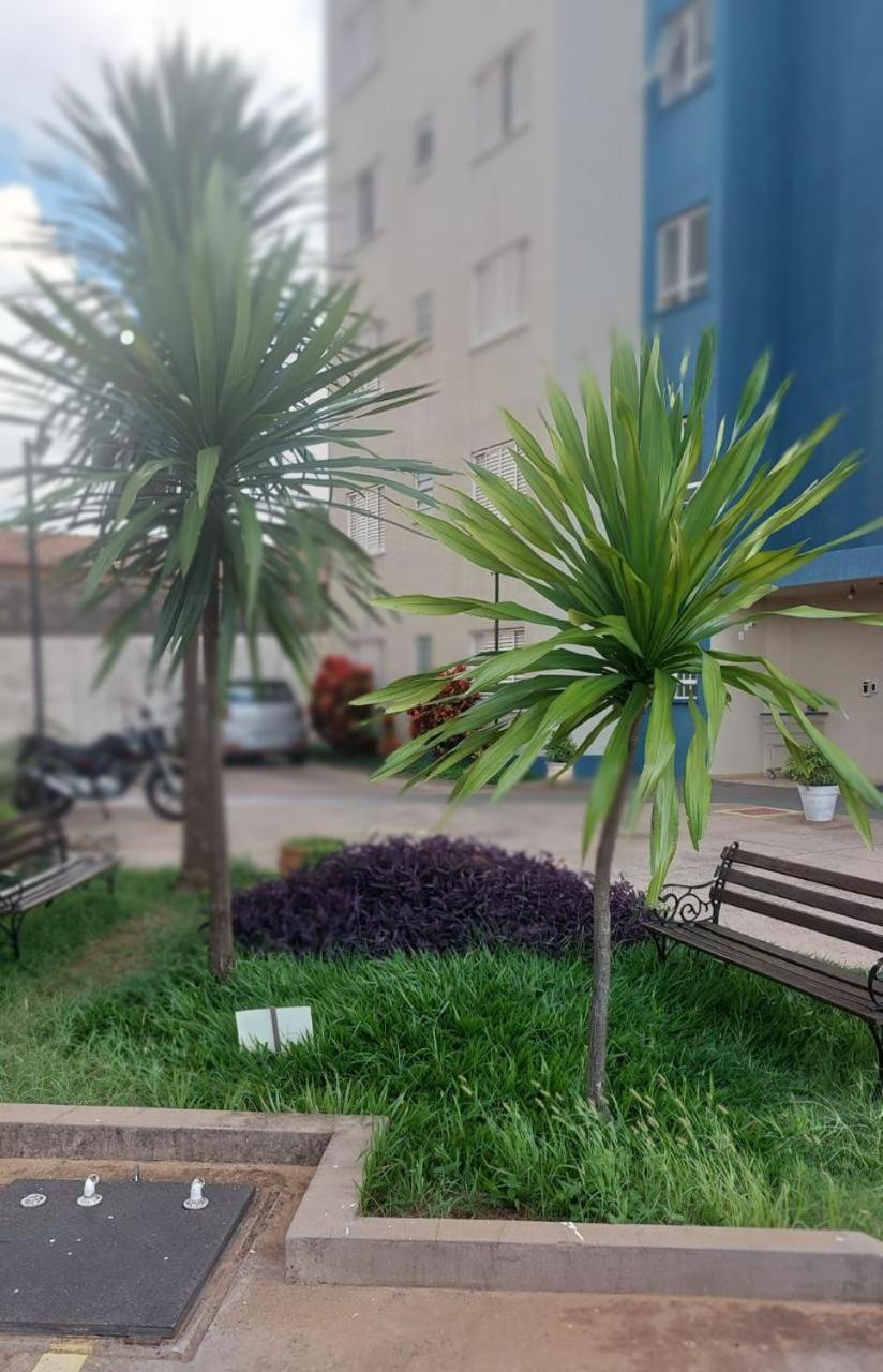 Apartamento Mari 7 São Carlos Eksteriør billede